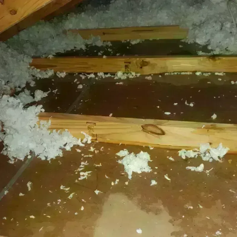 Attic Water Damage in East Riverdale, MD