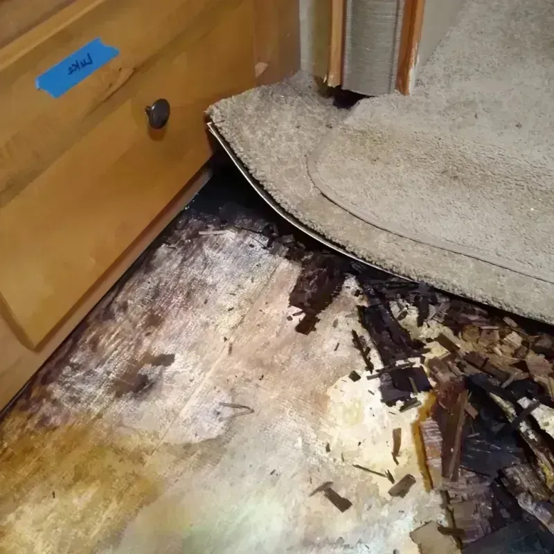 Best Wood Floor Water Damage Service in East Riverdale, MD